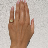 The Mini-Soleil Ring